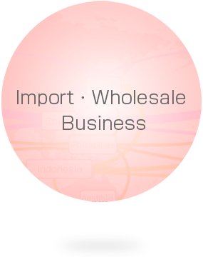 Import , Wholesale Business